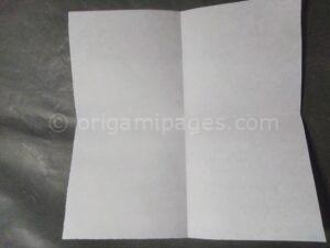 Origami Checkered Heart step: 2b