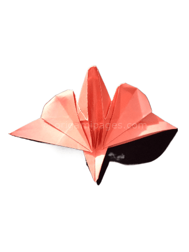 Easy Origami Orchid Flower – A Step by Step Guide
