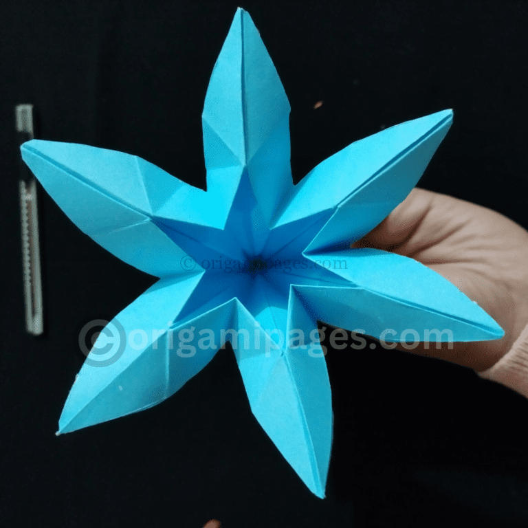 Origami 6 Petal Flower – Easiest Guide To Follow