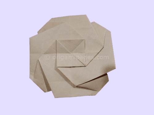 Origami Poppy Flower – A Complete Beginners Guide