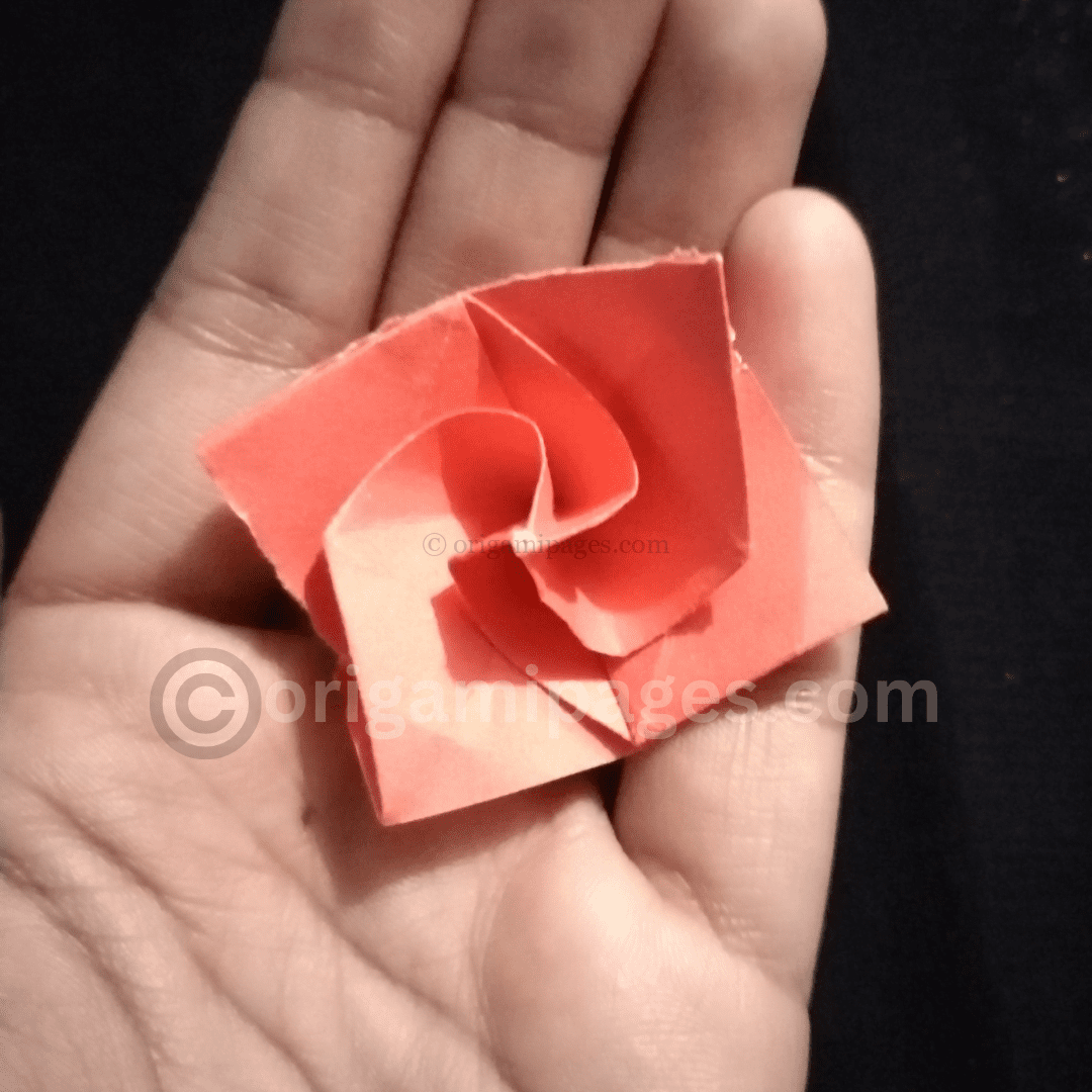 Origami twisty rose Folding Instructions