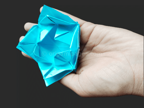 Origami Water Lily – A Complete Beginners Guide