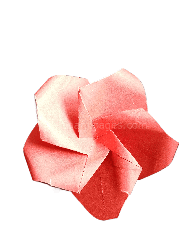 Easy Origami Plumeria Flowers: A Step-by-Step Guide