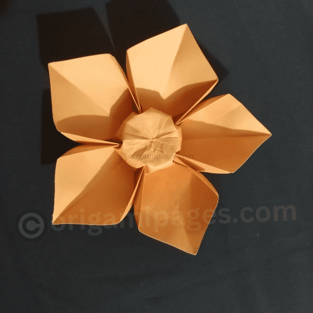 Origami 5 petal flower