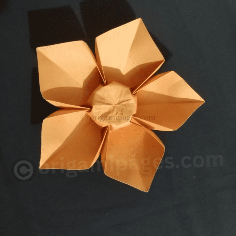 How to Make an Origami 5 Petal Flower Step by Step.