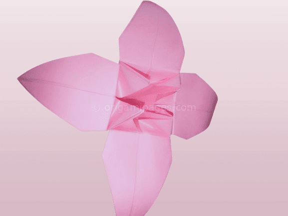 How to Make Origami Dai Lily? Easy To Follow Instructions