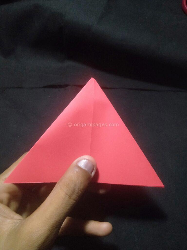 3D Origami Apple & Leaf step: 9