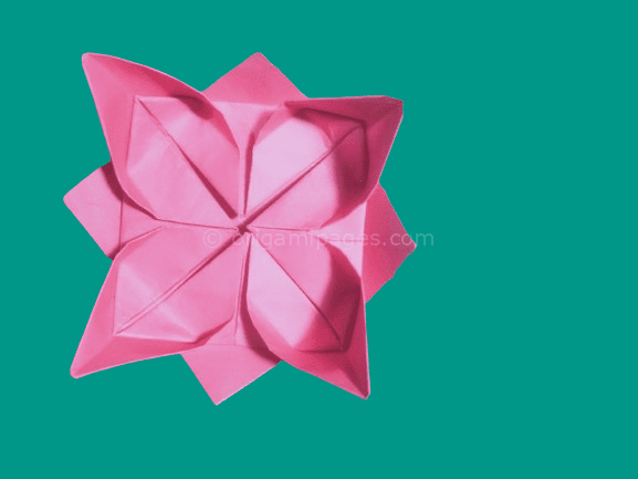 Origami Lotus Flower Instructions – Easy To Follow Guide