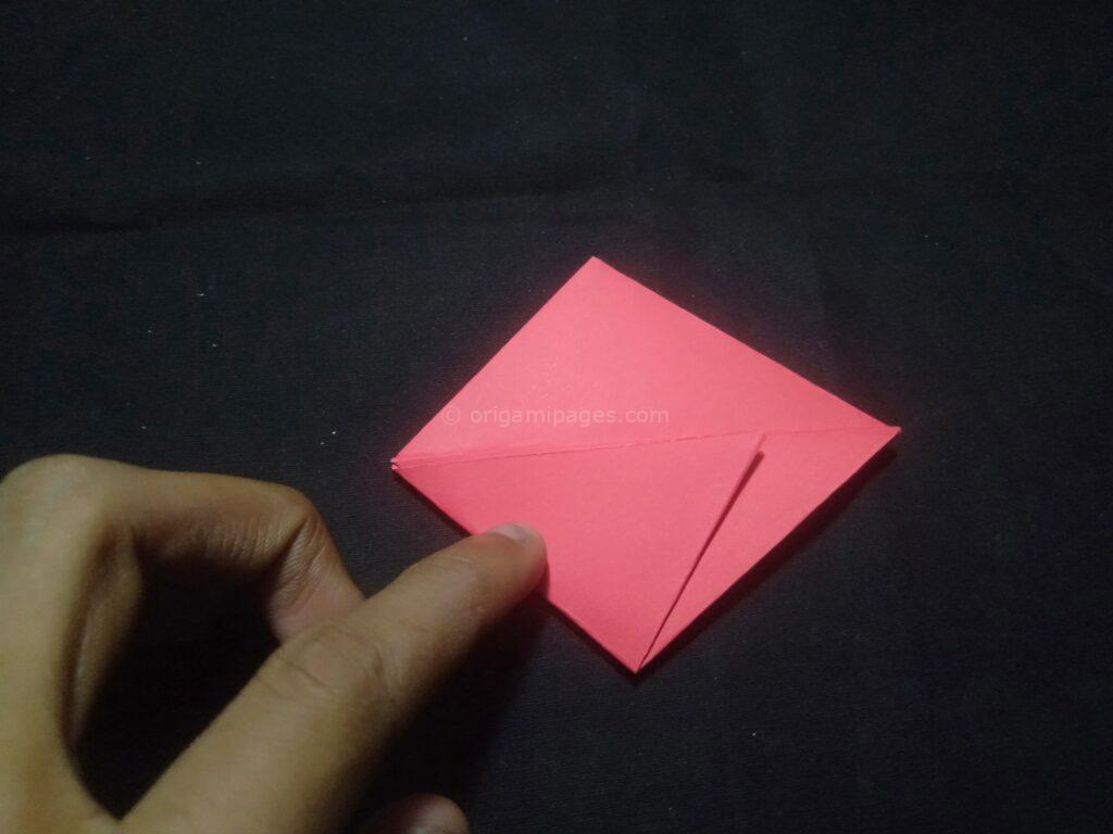 3D Origami Apple & Leaf step: 11