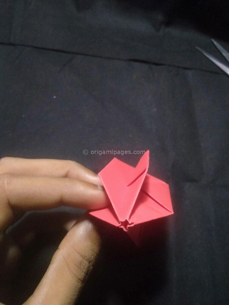 3D Origami Apple & Leaf step: 16