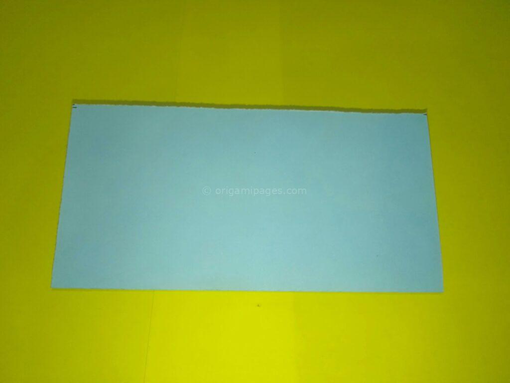 Origami daisy step: 1b