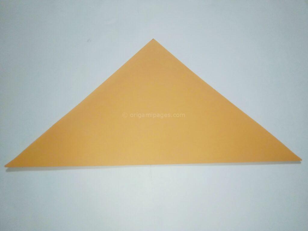 Origami Kusudama Step:2