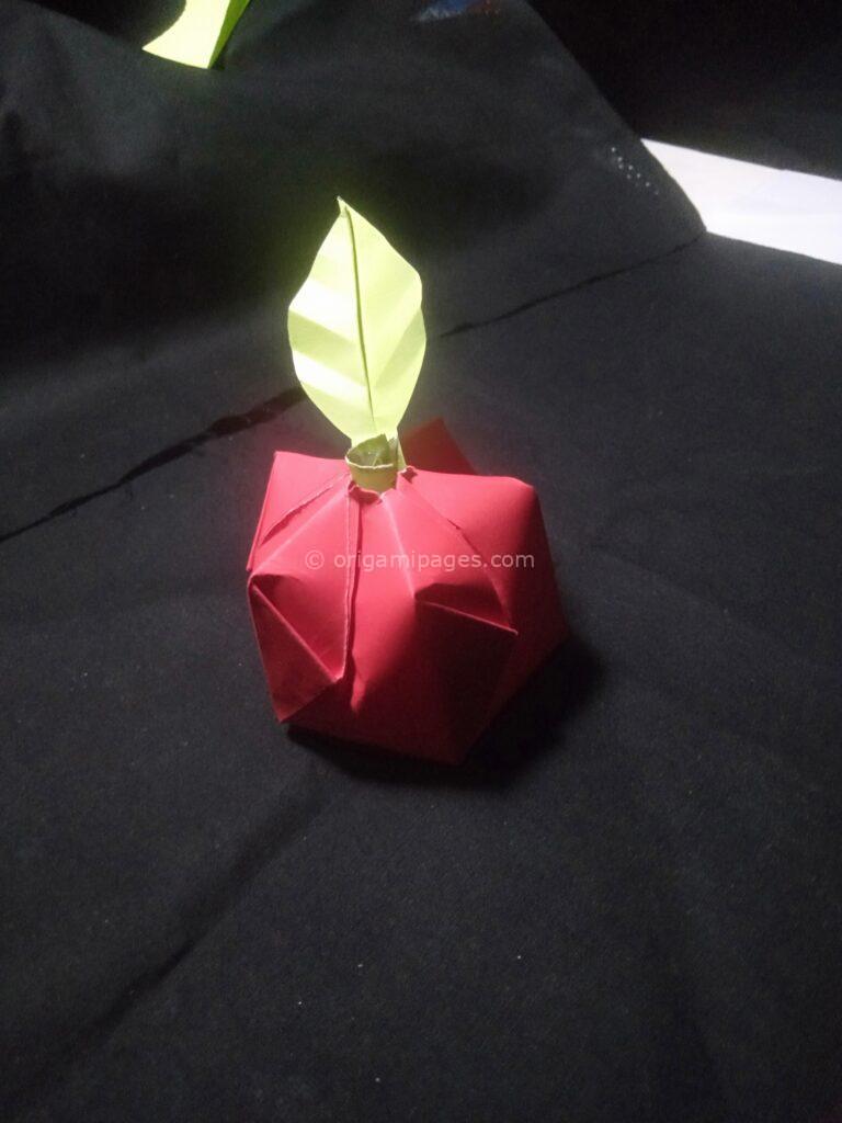 3D Origami Apple & Leaf step: 19a