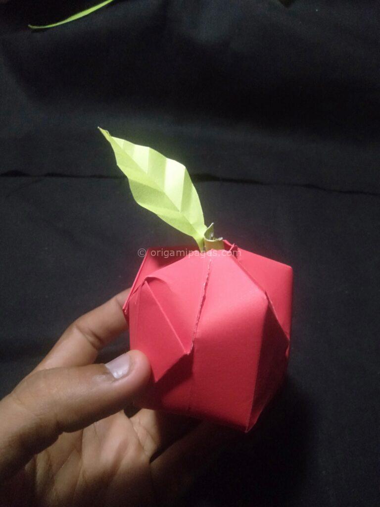 3D Origami Apple & Leaf or 3D Origami Apple & Leaf step: 19b
