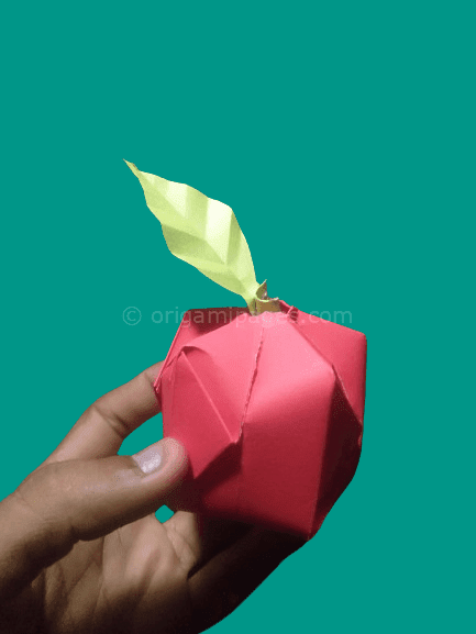 3D Origami Apple & Leaf Instructions -Easy To Follow Guide