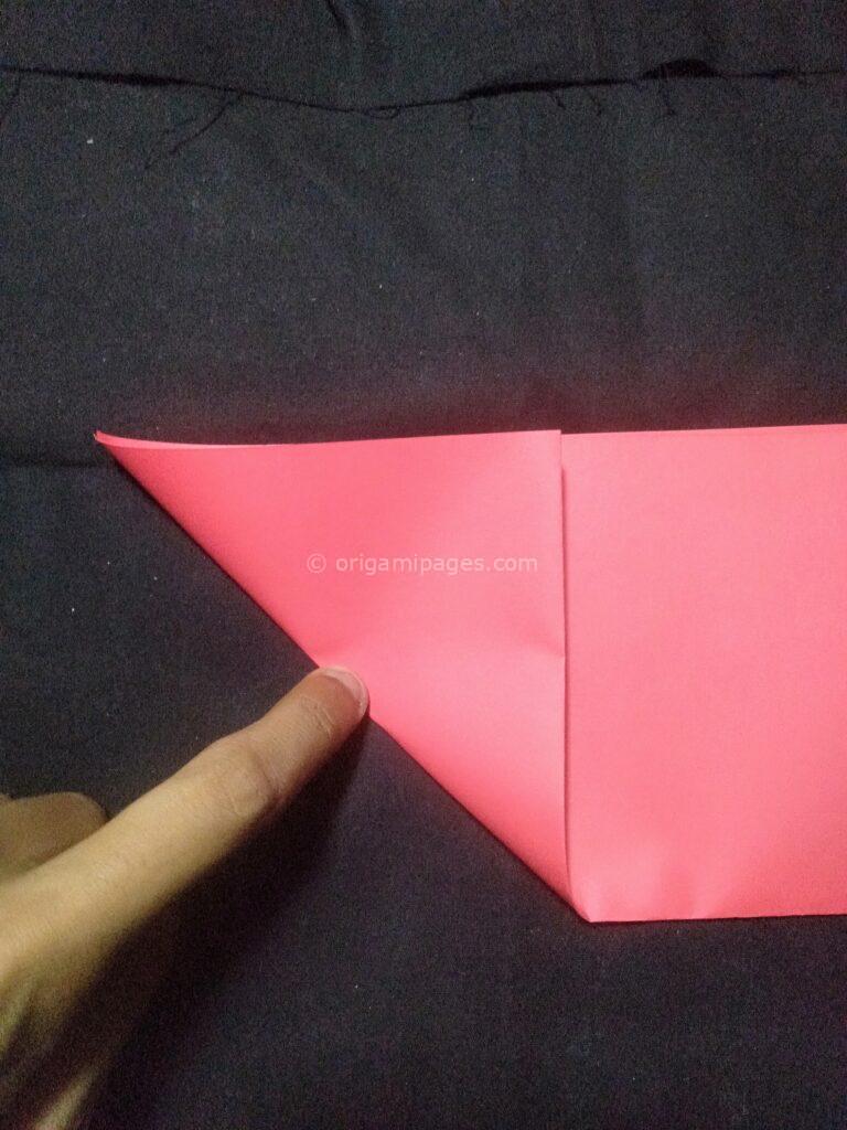 3D Origami Apple & Leaf step: 2a