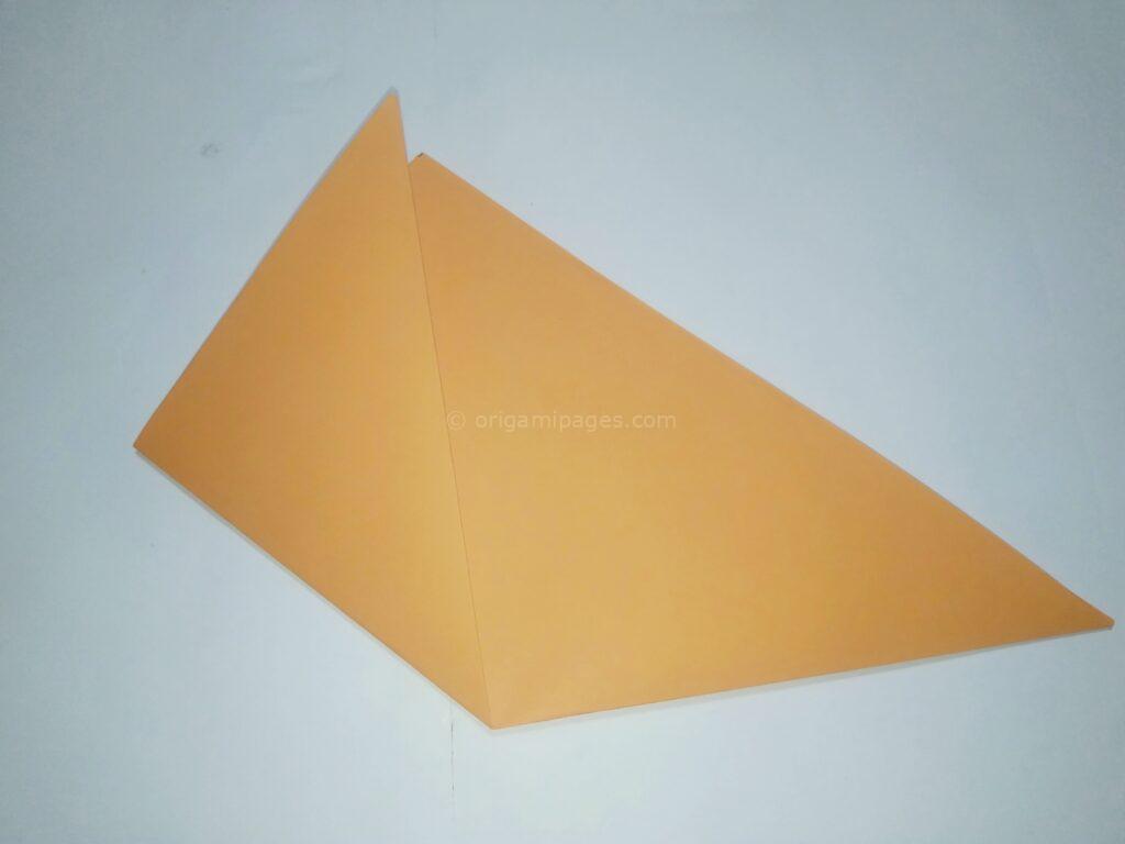 Origami Kusudama Step:3a