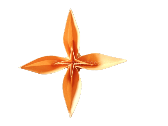 4 petal flower origami