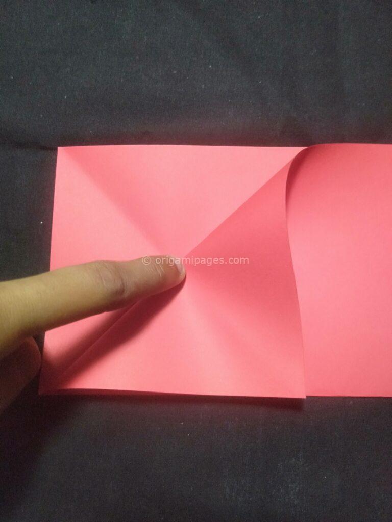 3D Origami Apple & Leaf step: 3a