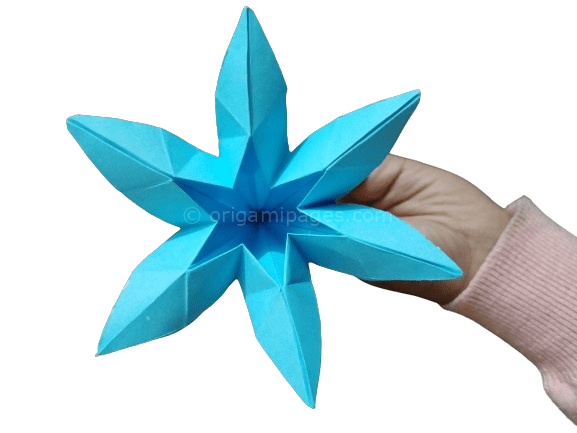 6 petal flower origami