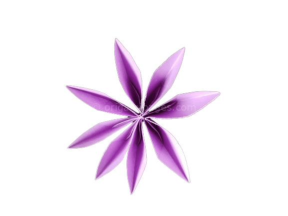 8 petal flower origami