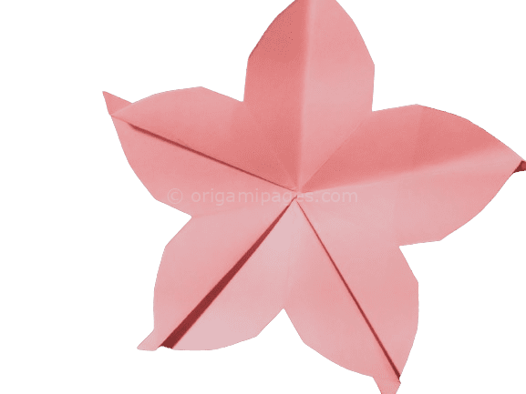 Origami Cherry Blossom Instructions – Easy To Follow Guide