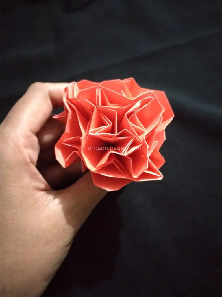 Origami Carnation Flower – Easiest Guide To Follow