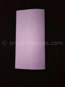 origami hibiscus flower step 2a