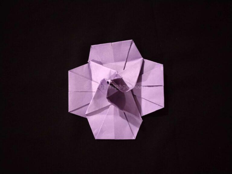 How to Make Origami Hibiscus Flower? Easy To Follow Instructions