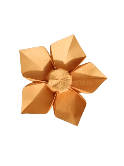 5 petal flower origami