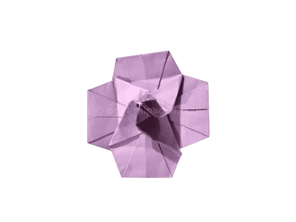 hibiscus flower origami