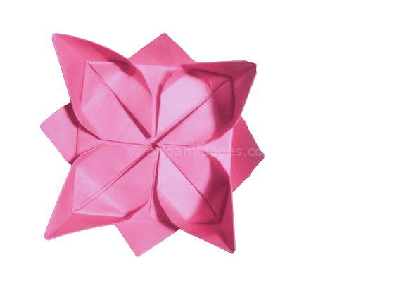 origami lotus