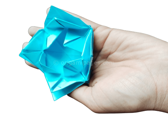 Water lily origami