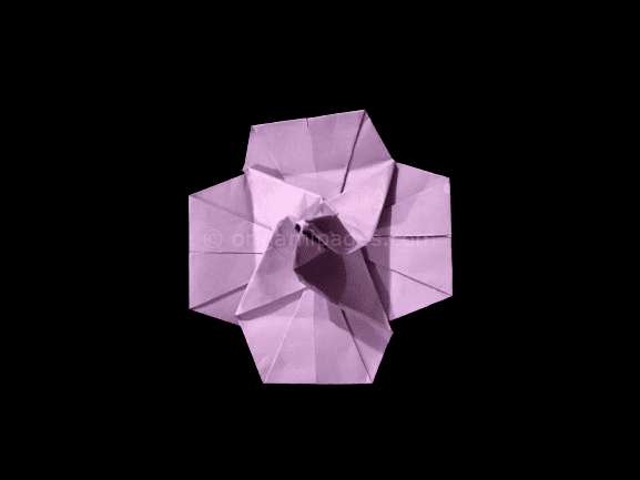 origami hibiscus flower
