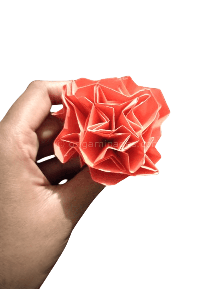 Origami-carnation-flower