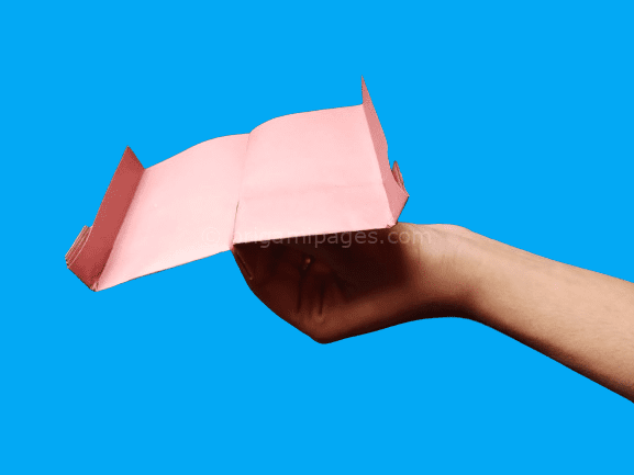 Spy Plane Paper Airplane – Easiest Guide To Follow