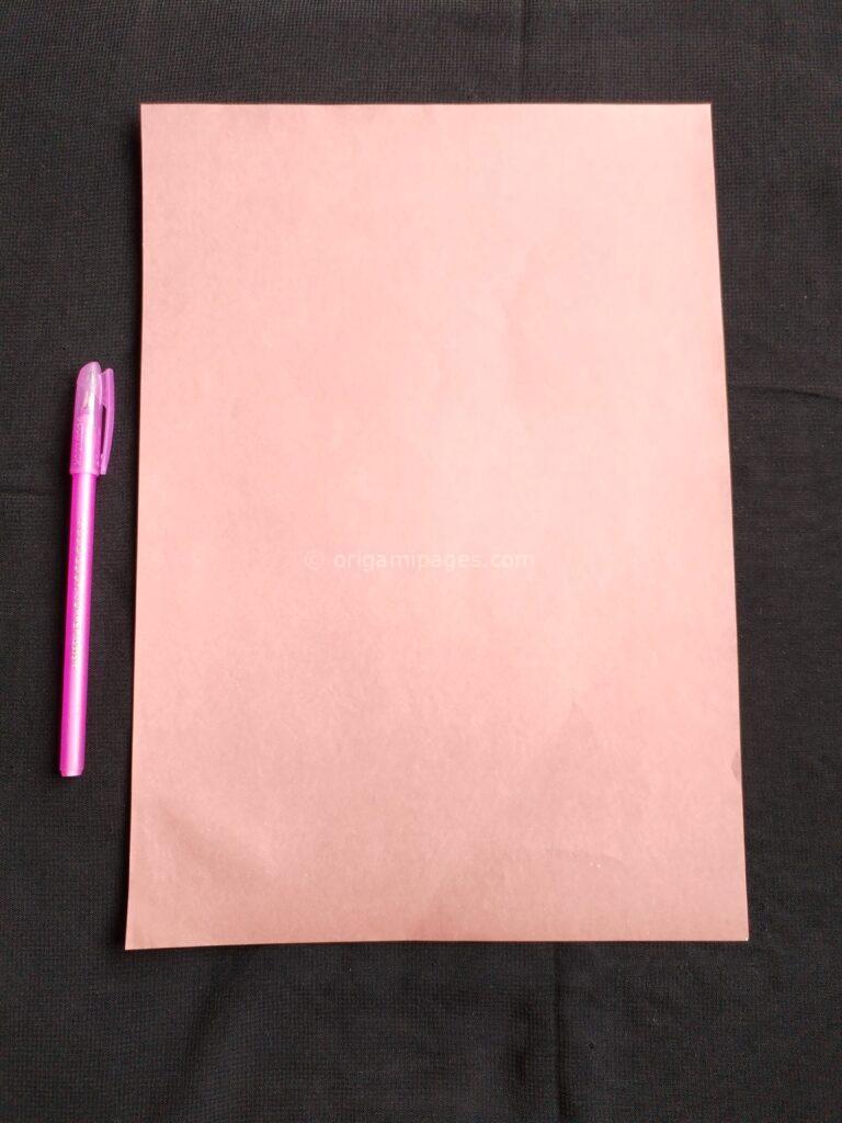 Spy Plane Paper Airplane Step: 1a