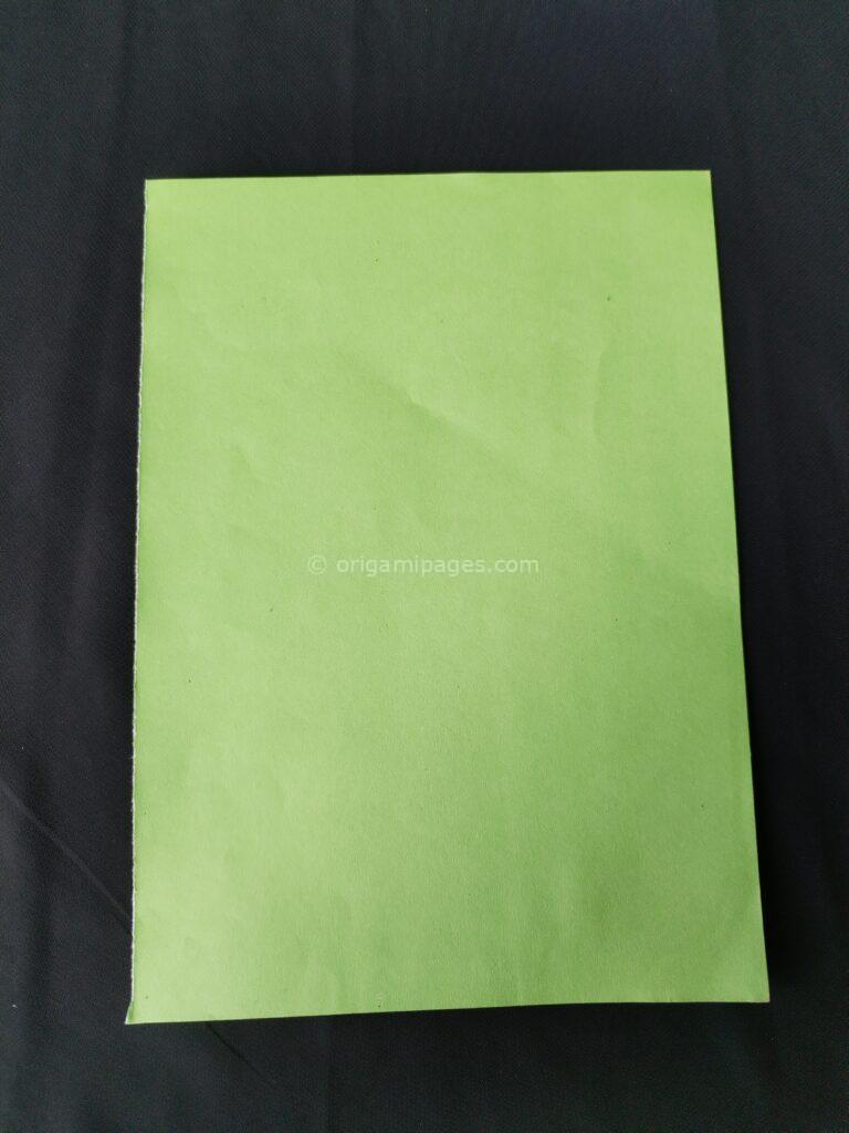 Headhunter Paper Airplane Step: 1