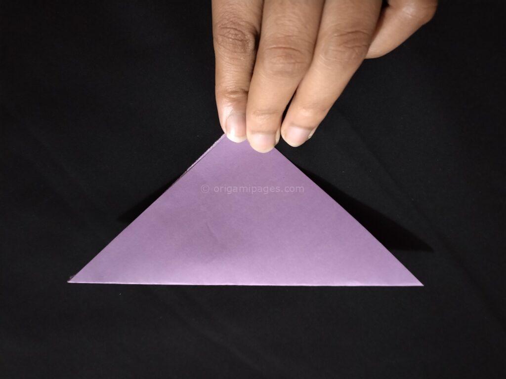 Origami Circular Glider Step: 2