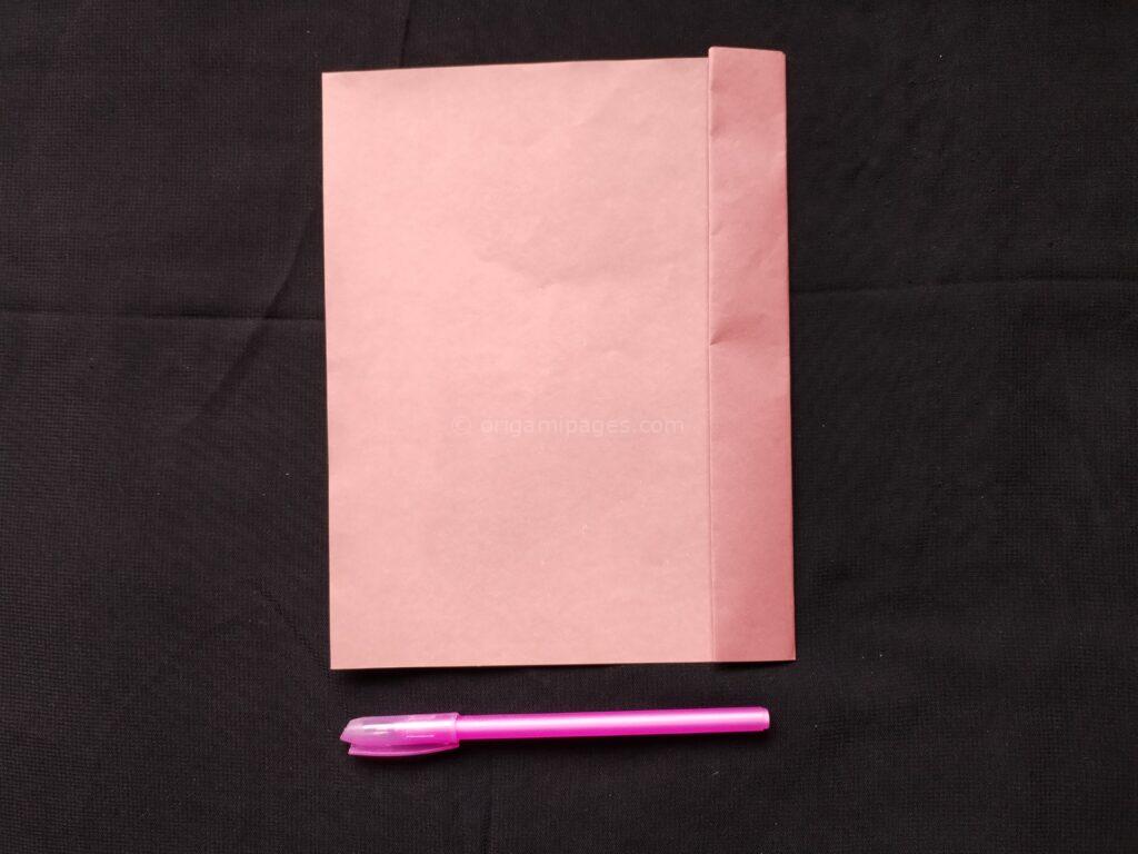 Spy Plane Paper Airplane Step: 2d