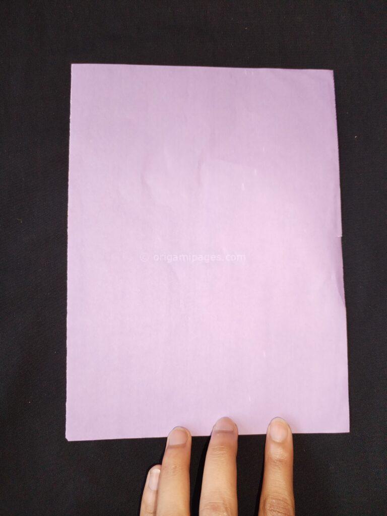 Pteroplane Paper Airplane Step: 1