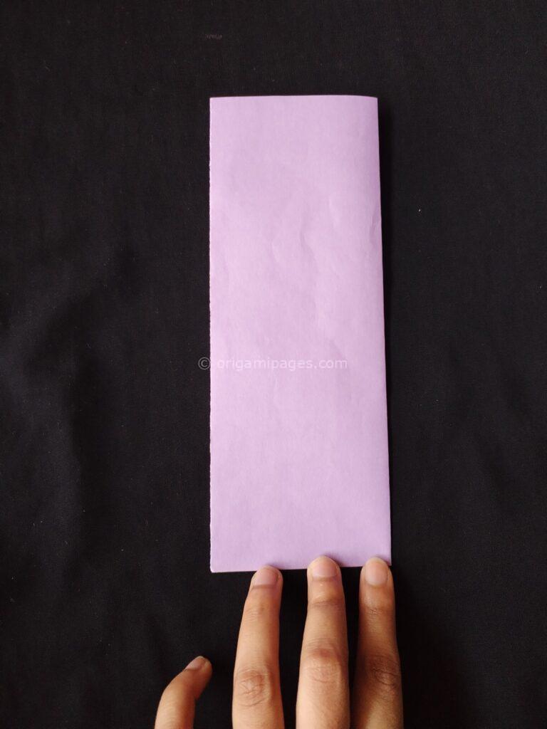 Pteroplane Paper Airplane Step: 2a