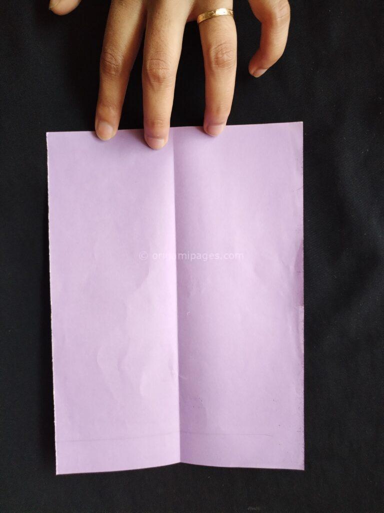 Pteroplane Paper Airplane Step: 2b