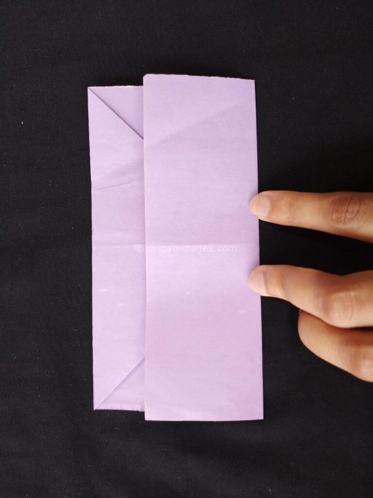 Pteroplane Paper Airplane Step: 4b