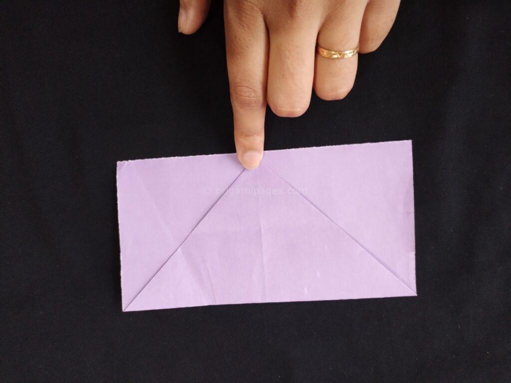 Pteroplane Paper Airplane Step: 4c