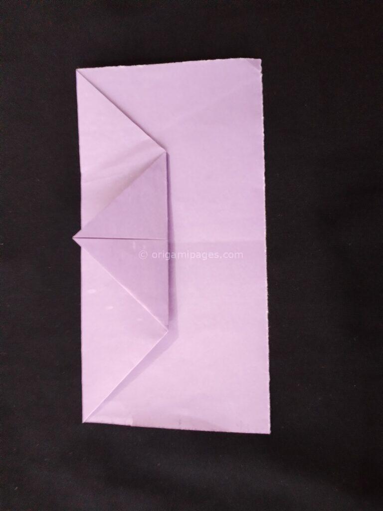 Pteroplane Paper Airplane Step: 5a