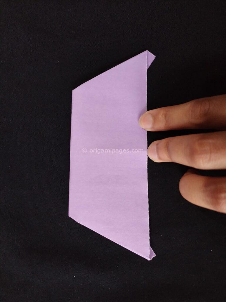 Pteroplane Paper Airplane Step: 7a