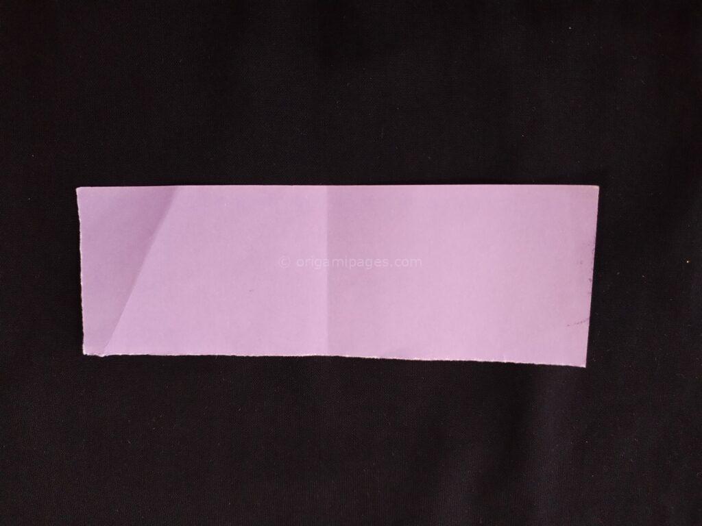 Pteroplane Paper Airplane Step: 8a