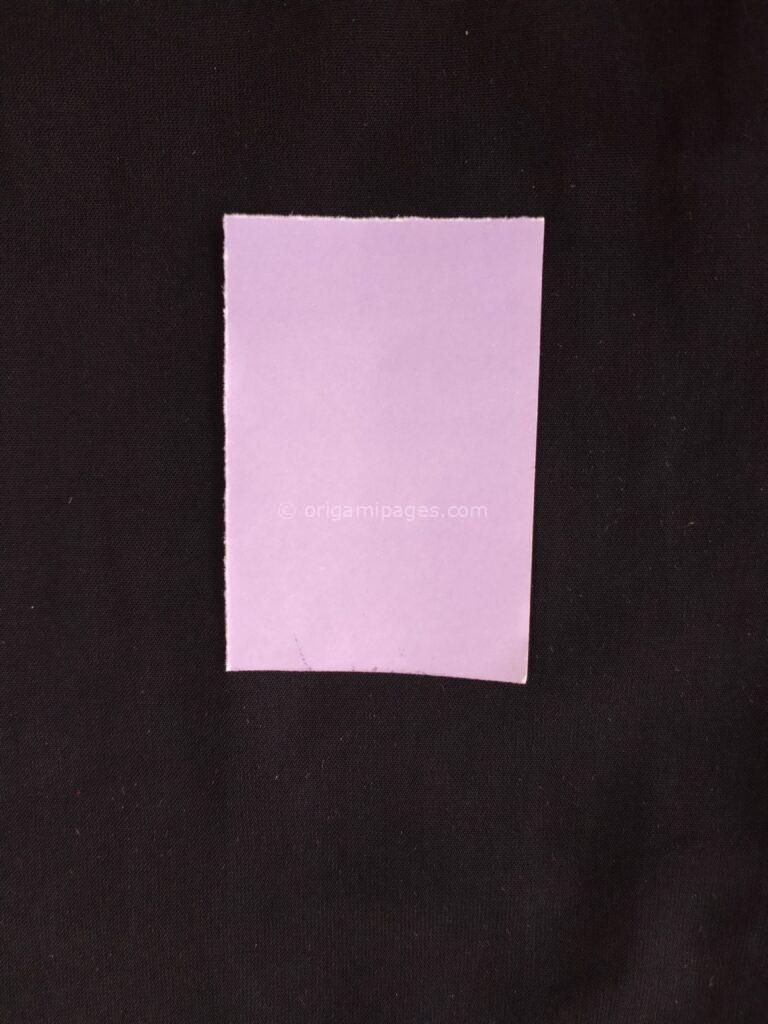 Pteroplane Paper Airplane Step: 8c