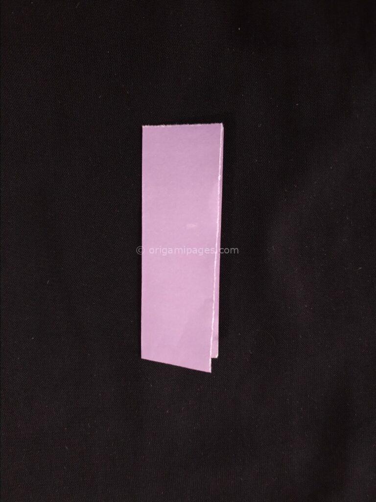 Pteroplane Paper Airplane Step: 9